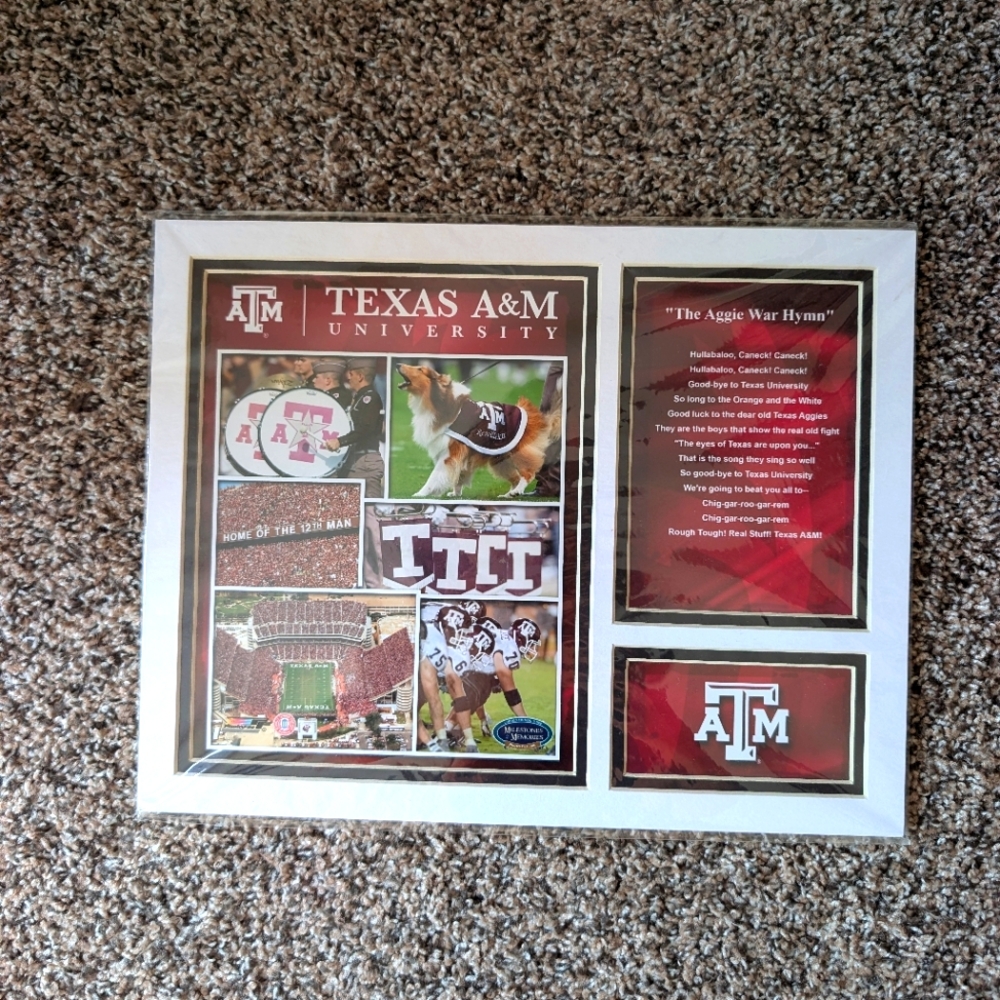 Encore Select 144-25 NCAA Texas A&M Aggies Deluxe Stat Matted 11x14 Limited Edit